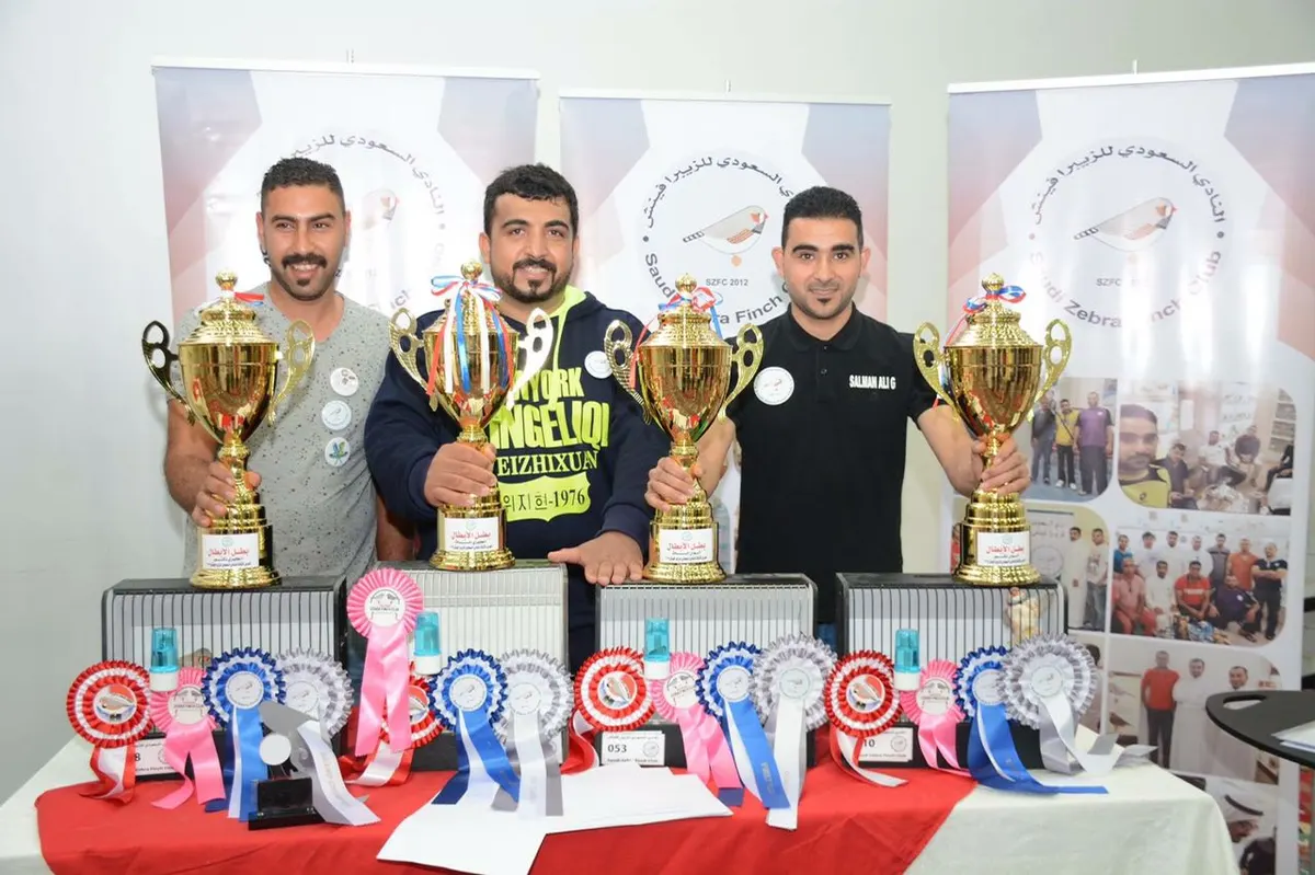 منافسات طيور الزبيرا والبادجي تستقطب 900 زائر