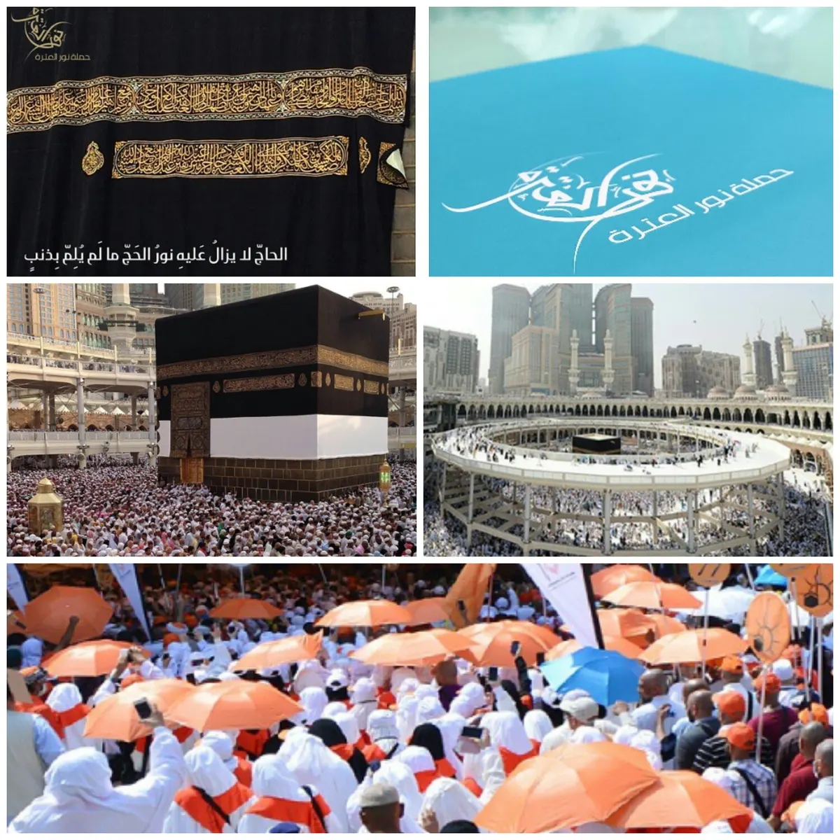 بدء التسجيل لحج 1438هـ في حملة «نور العترة» بالقطيف