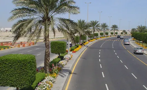 تدشين فعالية أسبوع الشجرة الأربعون بالقطيف