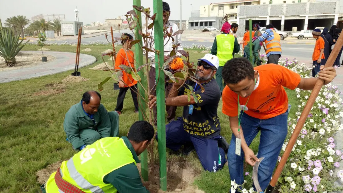 أشجارنا تغرس البمبر في واجهة الناصرة البحرية