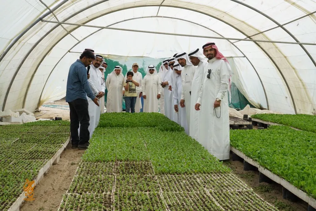 القطيف..مهتمون يتعرفون على تجربة الزراعة المائية