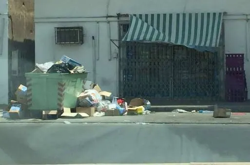 صفوى.. حملة لتنظيف حاويات المدينة من النفايات