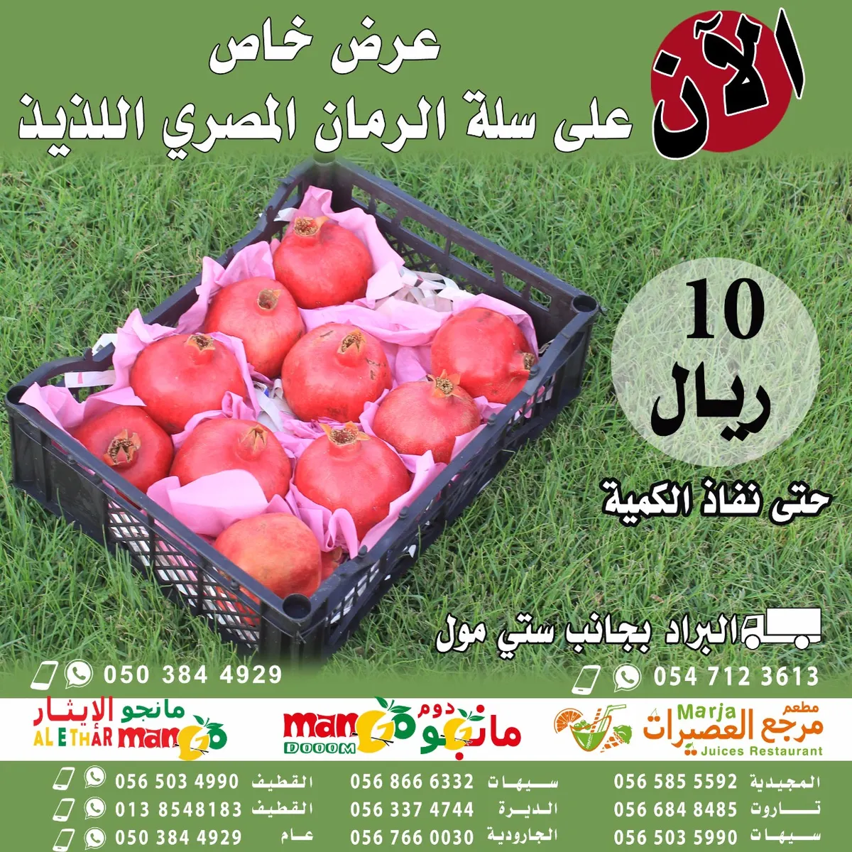 عرض خاص من مؤسسة ينابيع المودة لـ كراتين الرمان المصري وفي جميع الفروع