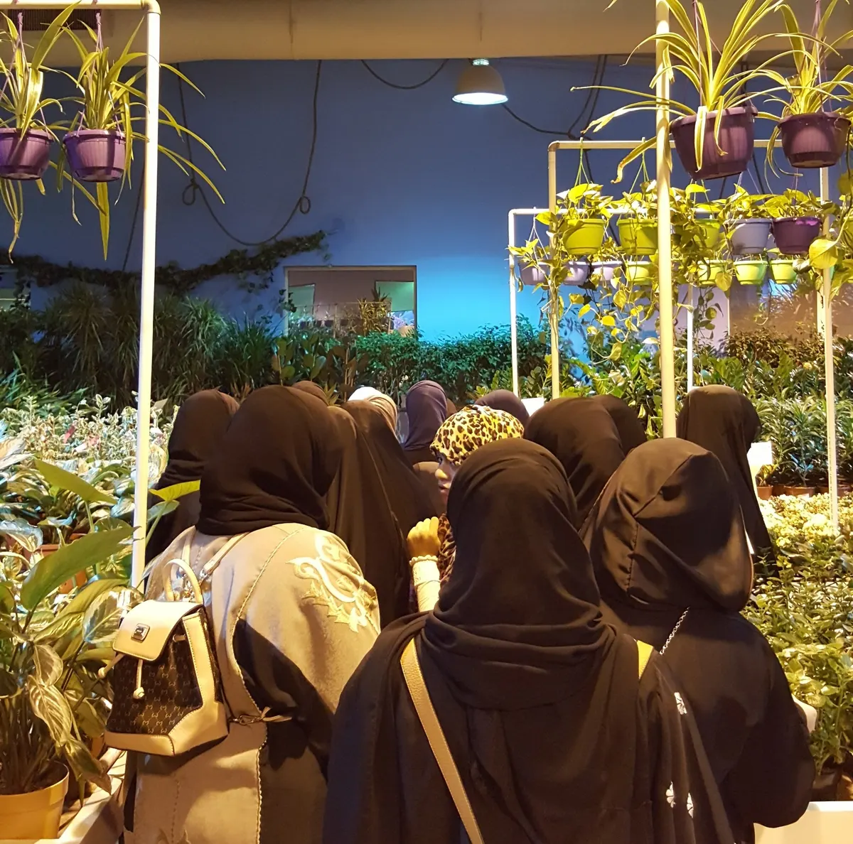 سيهات.. 30 فتاة يتعرفن على طرق العناية بالحدائق المنزلية