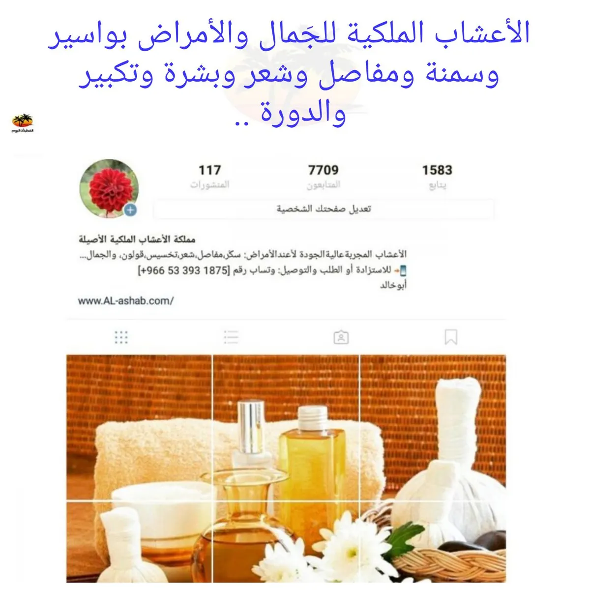 الأعشاب الملكية للجَمال والأمراض بواسير وسمنة ومفاصل وشعر وبشرة وتكبير والدورة..