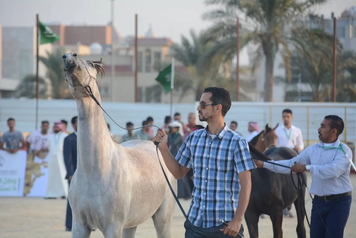 المهر تتباهى بجمالها أمام زوار المودة في القطيف.. شاهد الصور