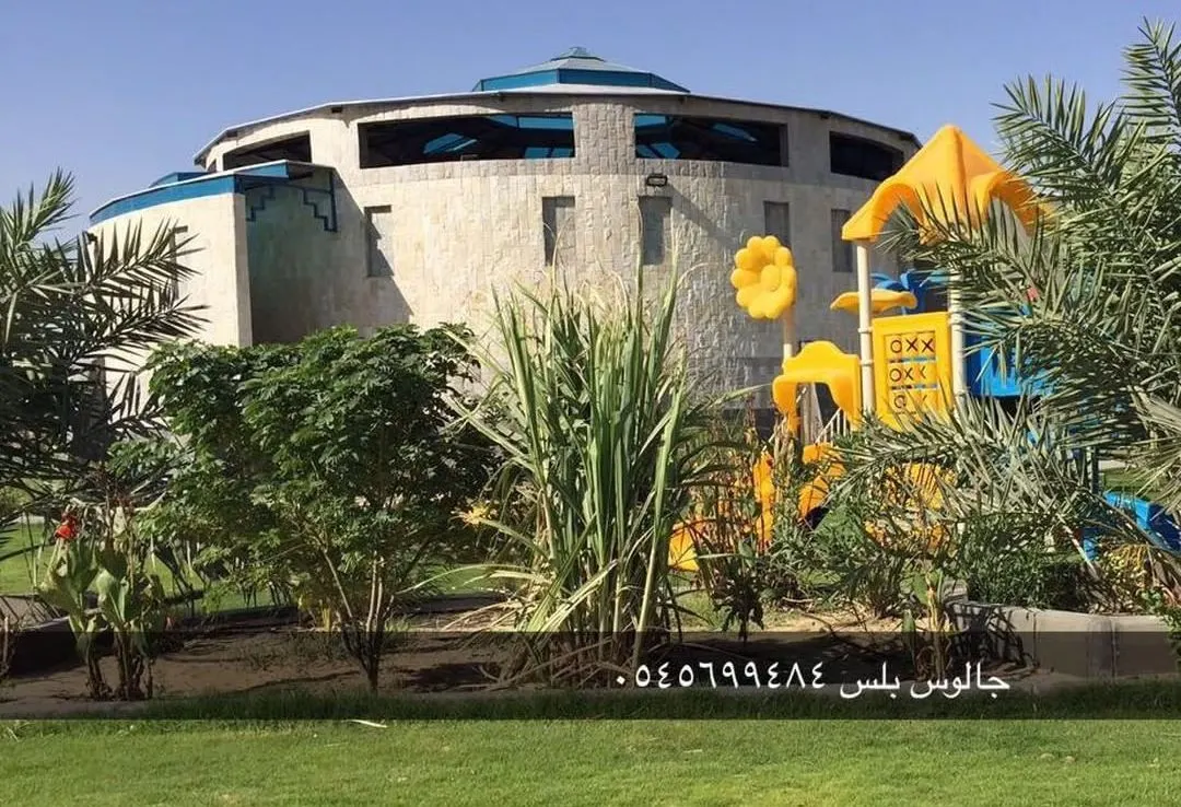 عروض المولد النبوي في منتجعات توليب - جالوس - لافندر - الدكة