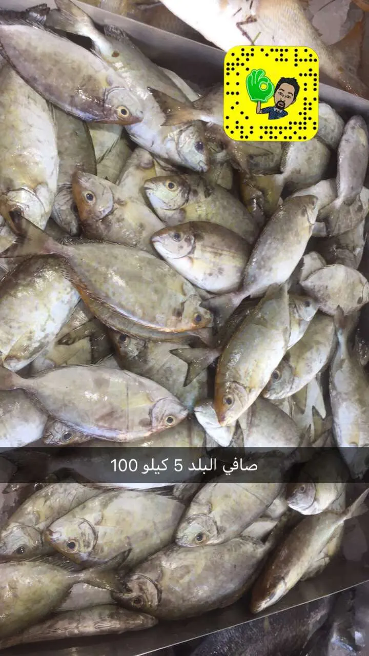عروض محل العرادي للأسماك الطازجة