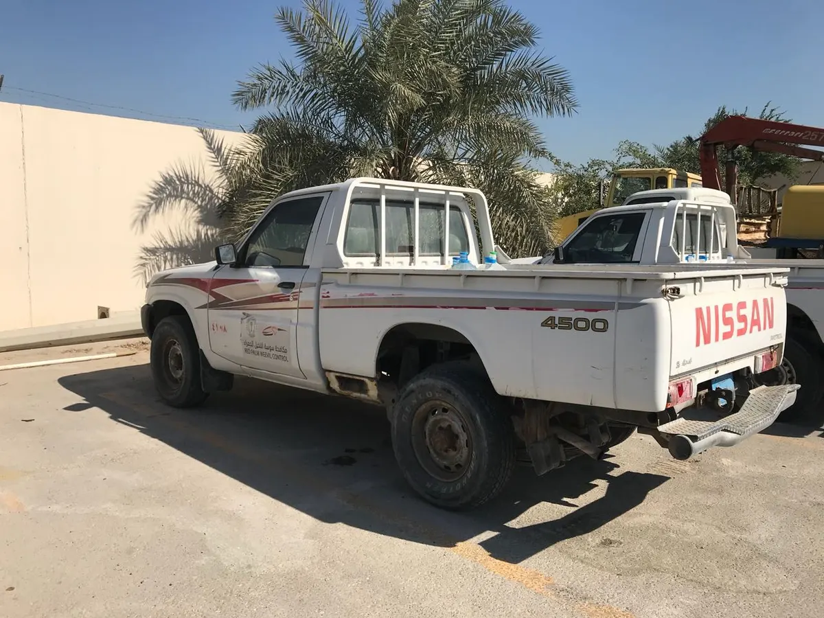 اللوحات القديمة للسيارات تعطل أعمال سوسة النخيل بالقطيف!