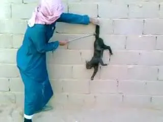 بانوراما الصحافة المحلية الأربعاء 21 جمادى الأولى 1439 هـ