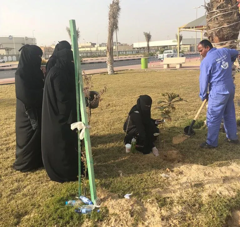 صفوى..100 سيدة يزيّن جاوان بـ 250 شتلة