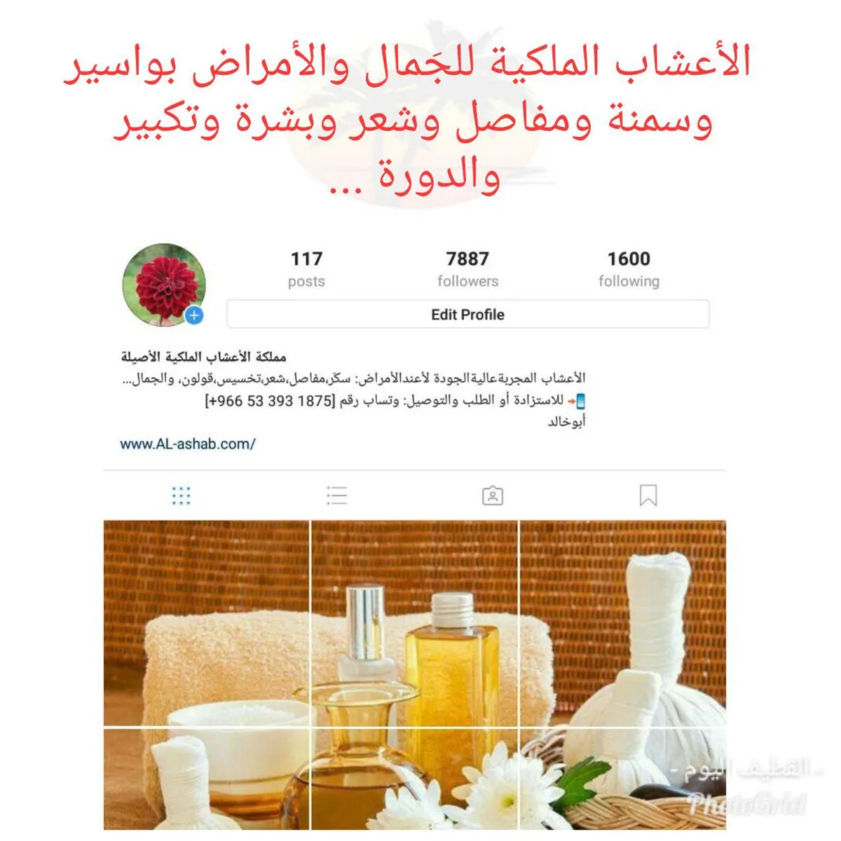 الأعشاب الملكية للجَمال والأمراض بواسير وسمنة ومفاصل وشعر وبشرة وتكبير والدورة ...