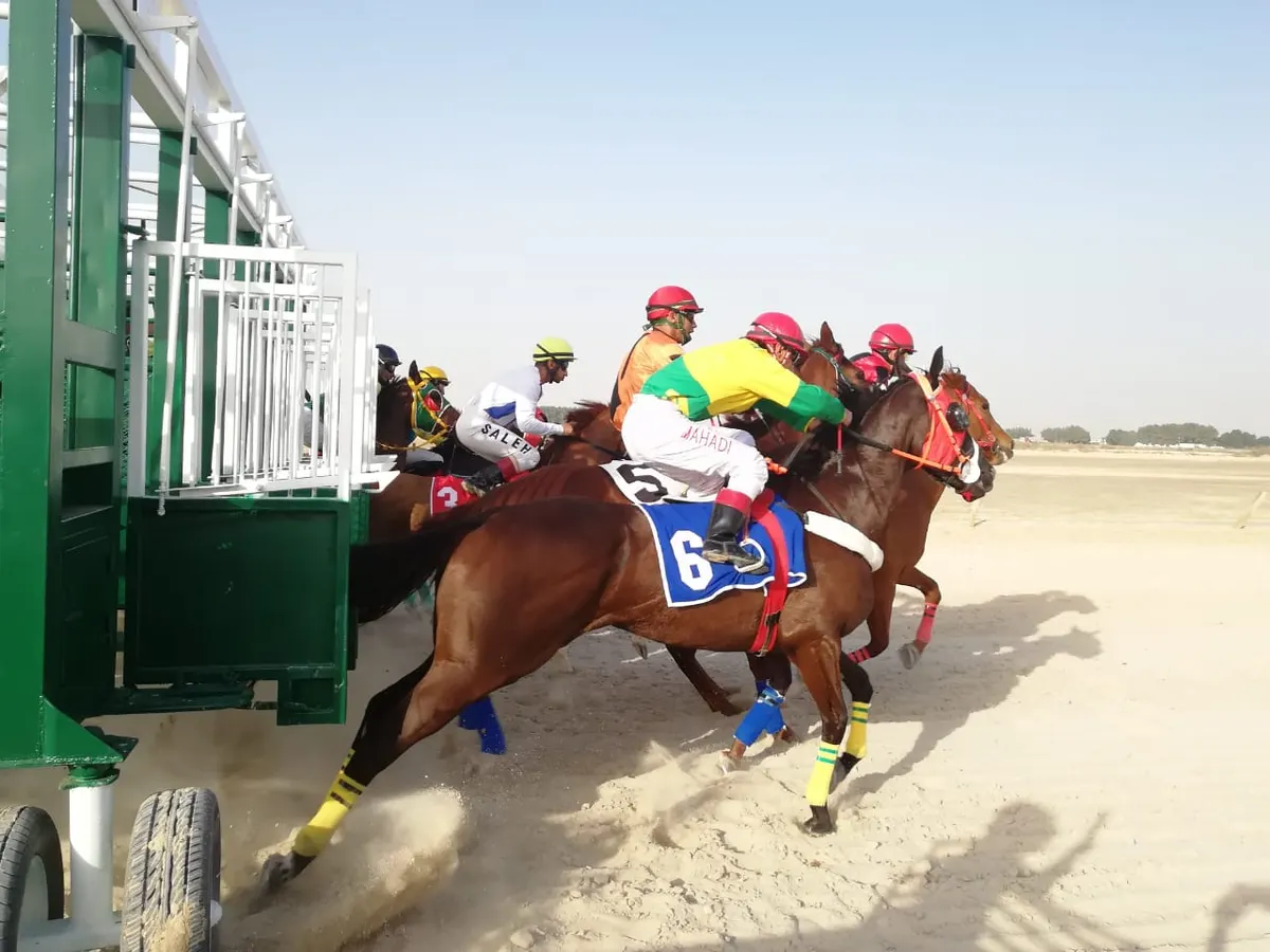 «زين الوصايف» بطل منافسات حفل الفروسية الـ14