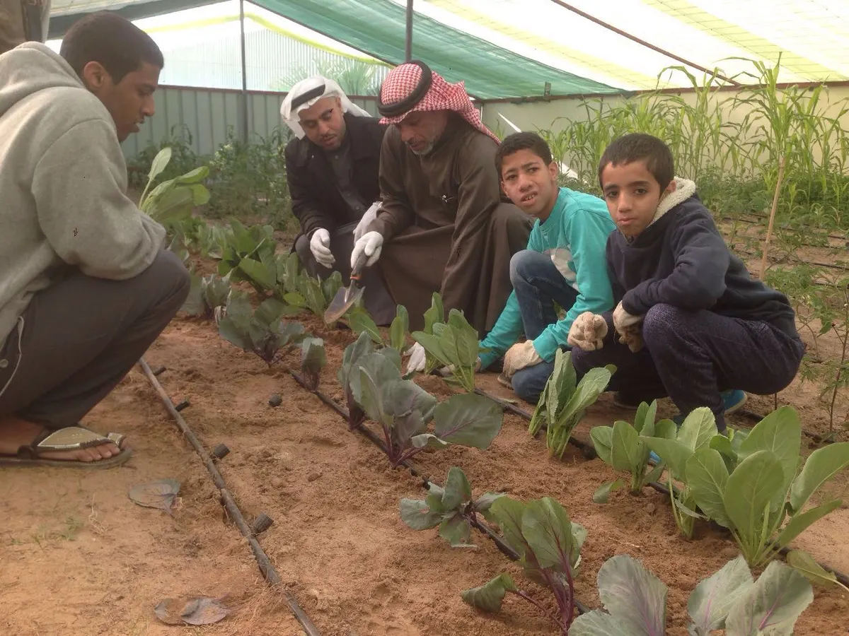 صفوى: طلاب يحولون مدرستهم إلى مشتلٍ زراعي.. فيديو وصور
