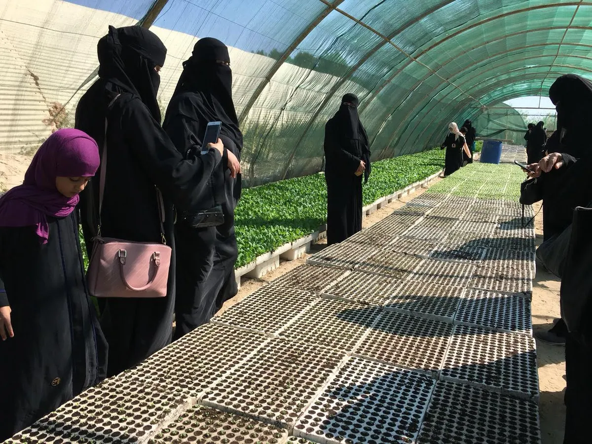 صفوى..50 سيدة يستوحين أفكارهن الزراعية من بيتي بستاني