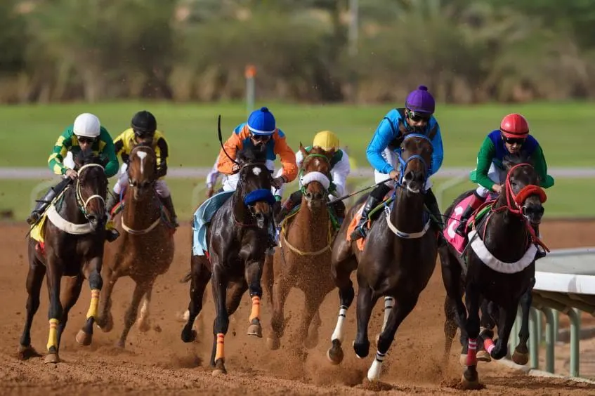 الصبيحة أولًا والبدراني خامسًا في «عز الخيل» بالرياض