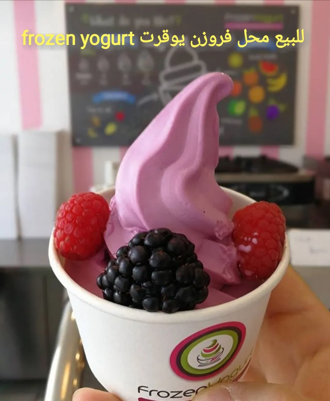 فرصة استثمارية..للبيع محل فروزن يوغرت frozen yogurt