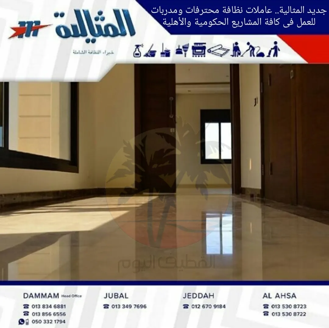 جديد المثالية.. عاملات نظافة محترفات ومدربات للعمل فى كافة المشاريع الحكومية والأهلية