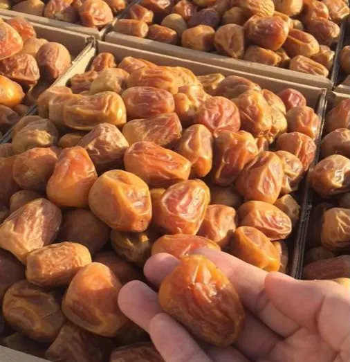 بانوراما الصحافة المحلية الجمعة 27 ذي الحجة 1439 هـ