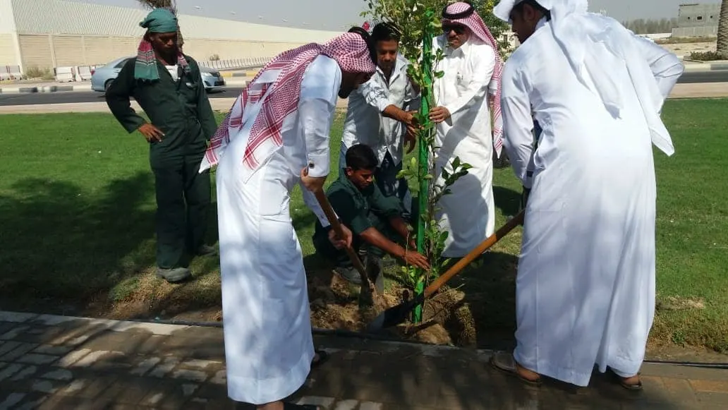 الجوافة والليمون والترنج واللوز تدخل ضمن أشجار الظل في سيهات