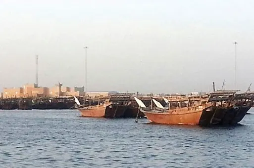 «البيئة» تعيد الكرة لملعب «الصيادين».. أمامكم 6 أشهر