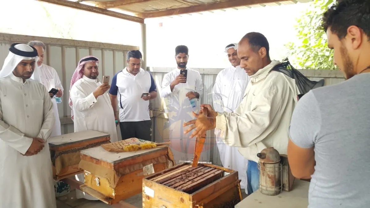 القطيف.. 30 مشاركًا يتعرفون على طرق التمييز بين العسل الطبيعي والمغشوش