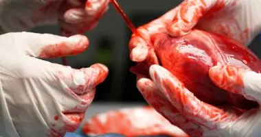 بانوراما الصحافة المحلية الأحد 26 صفر 1440هـ