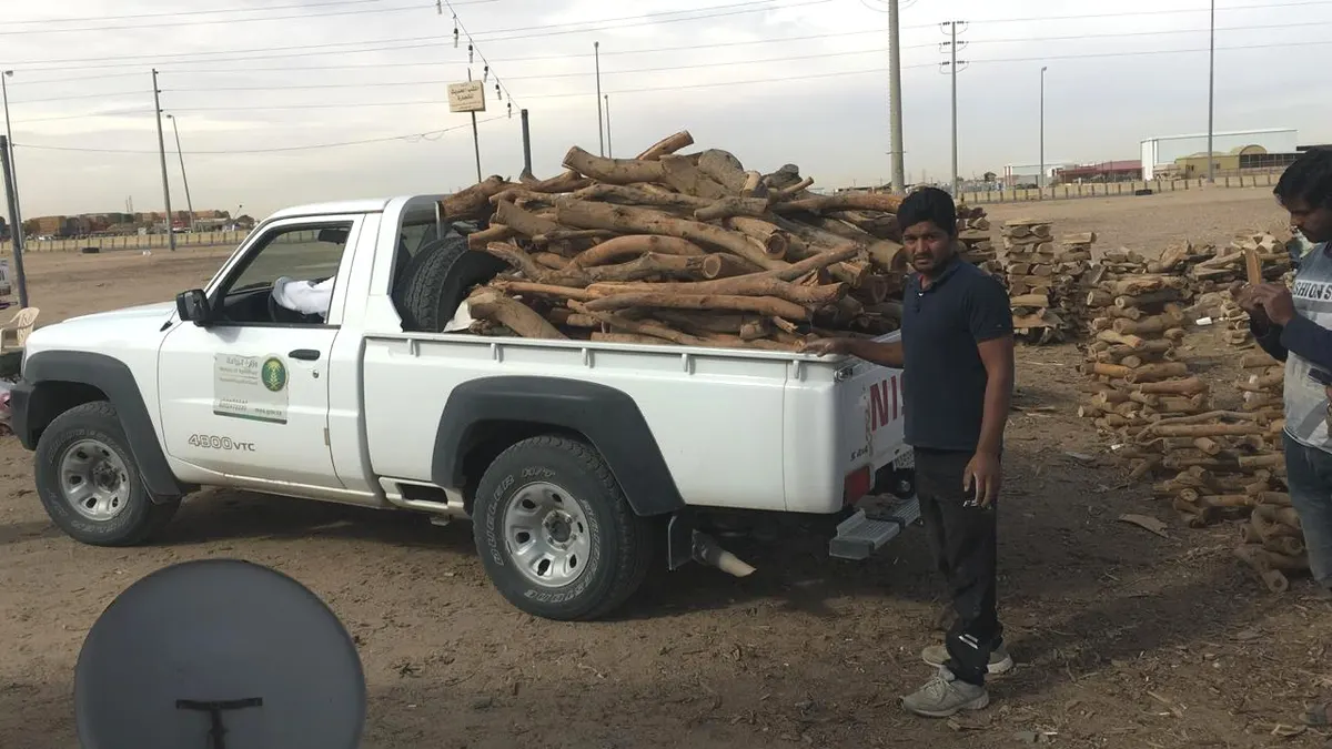 القطيف.. الزراعة تتوعد المخالفين لأنظمة المراعي والغابات