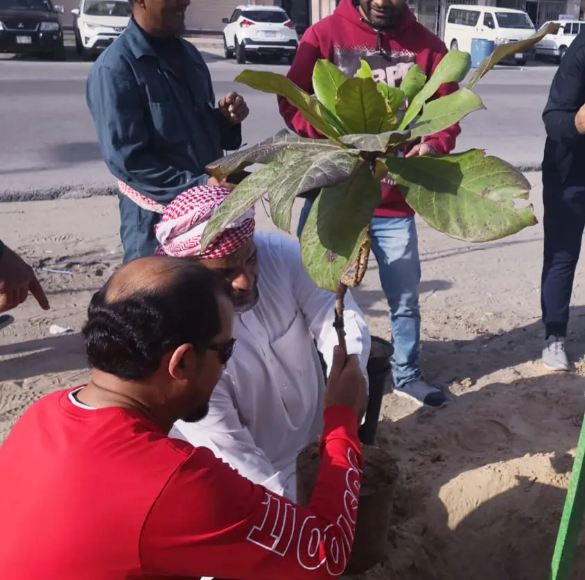 في الجولة الثانية.. الشتلات المثمرة والمزهرة تزّين طرق الجارودية