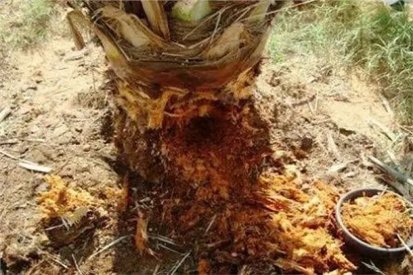 بانوراما الصحافة المحلية الإثنين 8 جمادى الأولى 1440 هـ