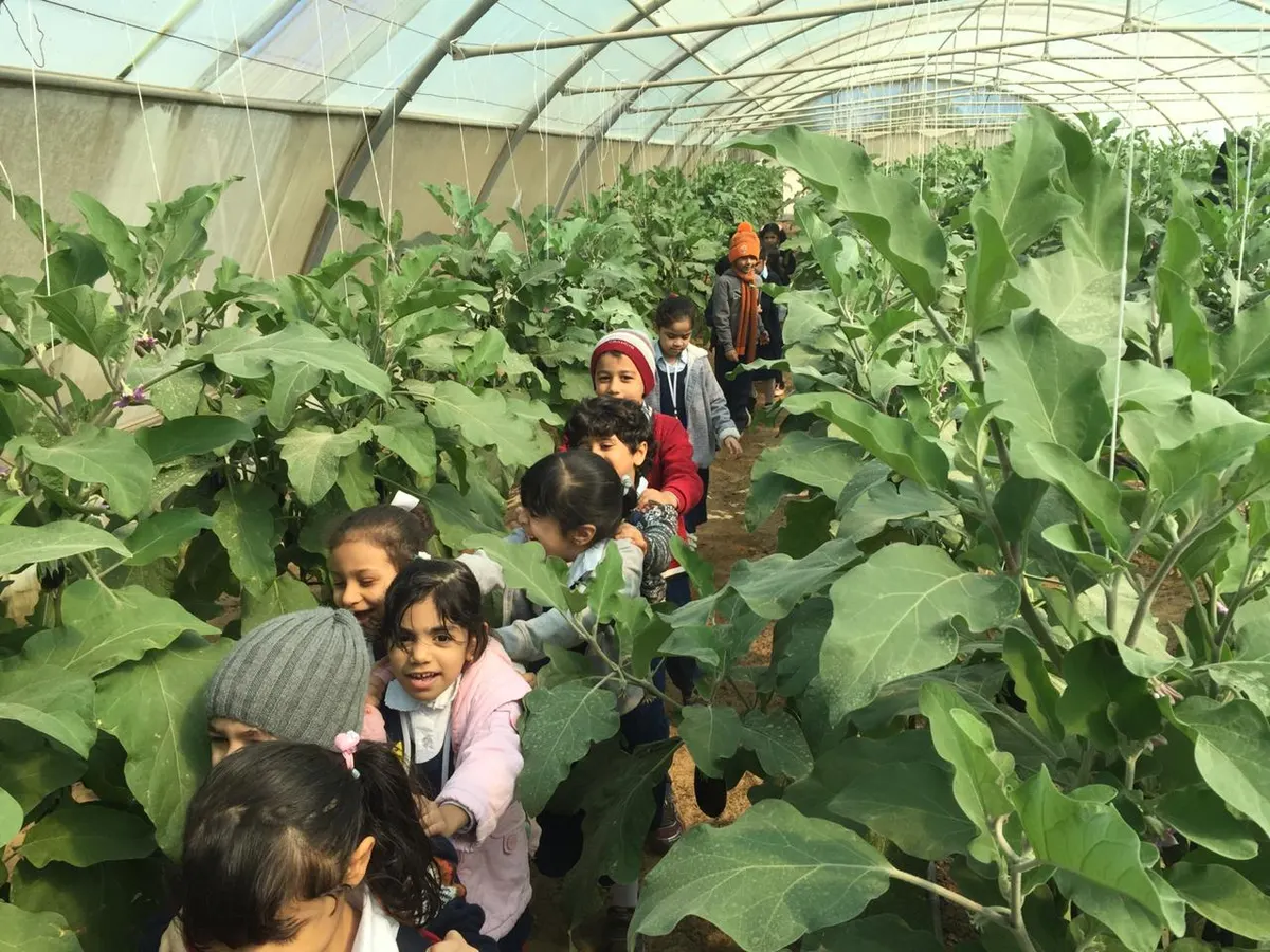 القطيف.. 120 طفلًا يتعرفون على مشتل ومنحل فرع وزارة البيئة والمياه والزراعة بالشرقية