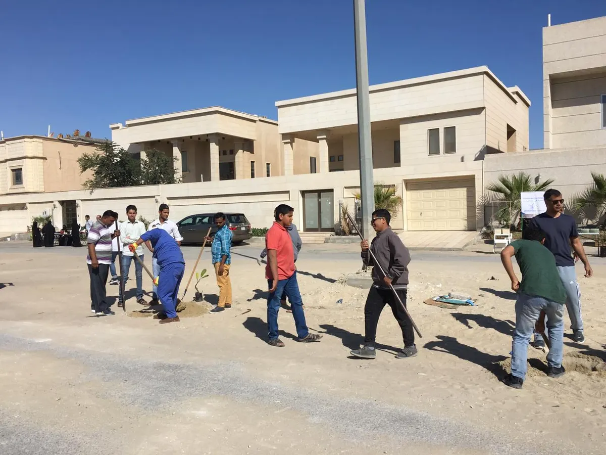 في جزيرة تاروت.. 45 مشاركًا يزينون «الشاطئ» بـ120 شتلة