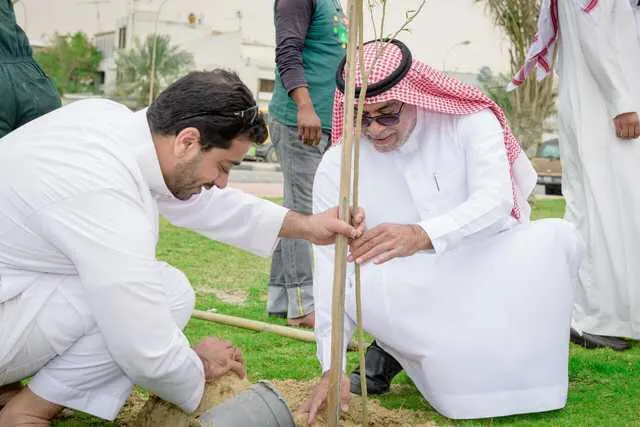بالصور... أصدقاء البيئة يحولون صفوى إلى بقعة خضراء
