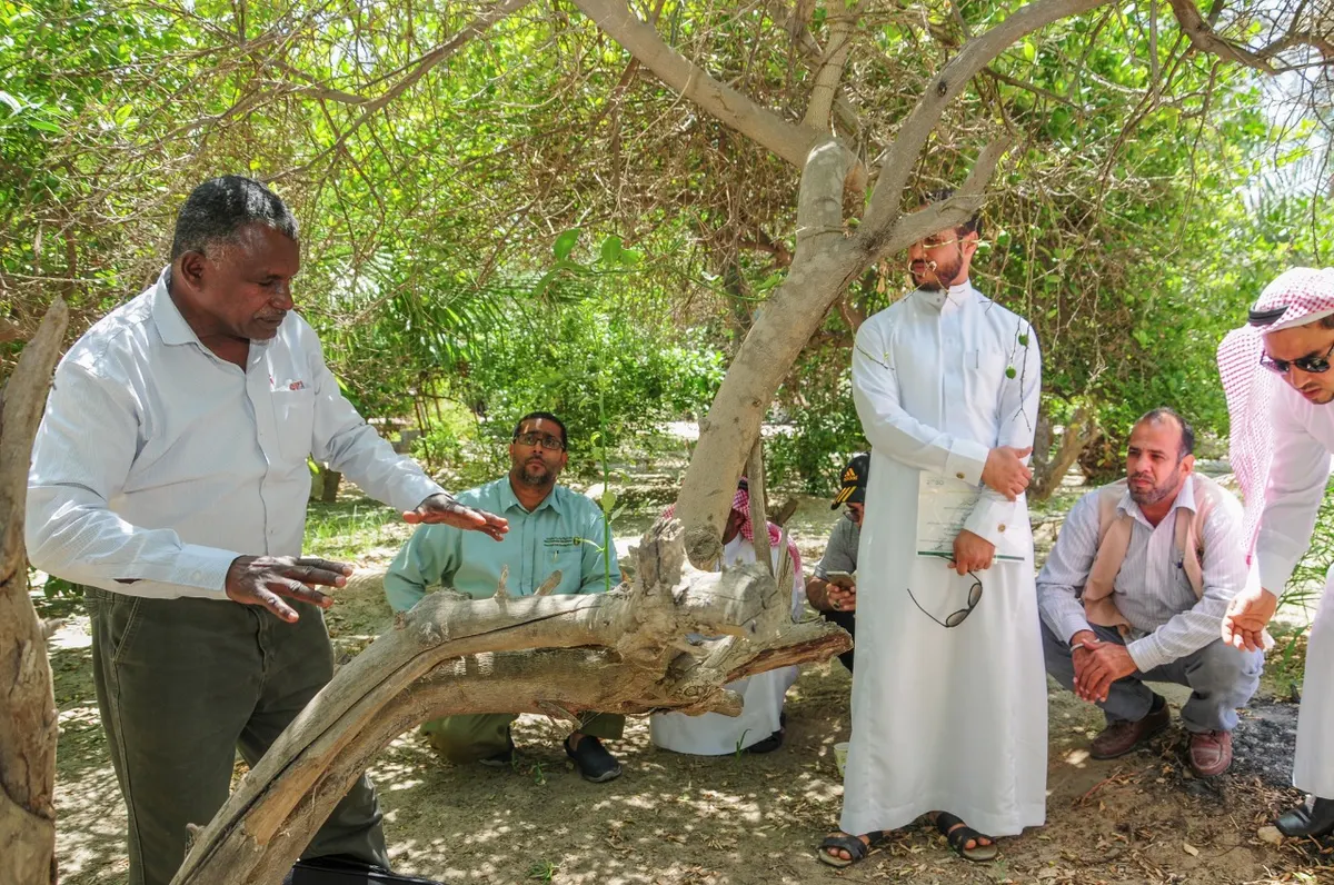 في أم الحمام.. مزارعون ومهتمون يتعرفون على خدمات «البيئة والمياه»