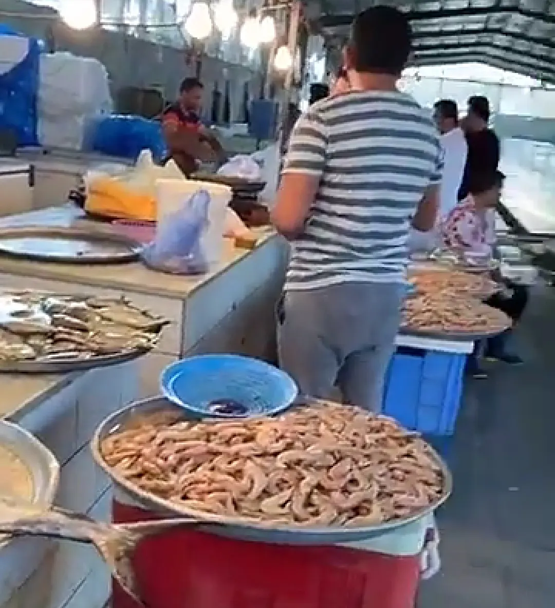 في القطيف.. الأسماك لا تتنازل عن أسعارها في العيد.. والروبيان يتصدر الطلب