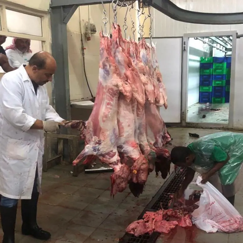 مسلخ القطيف يستقبل أكثر من 3000 أضحية خلال أيام عيد الأضحى المبارك