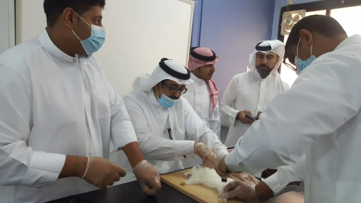 في القطيف.. تدريب 9 تربويين على استراتيجيات مجموعات النمو المهنية
