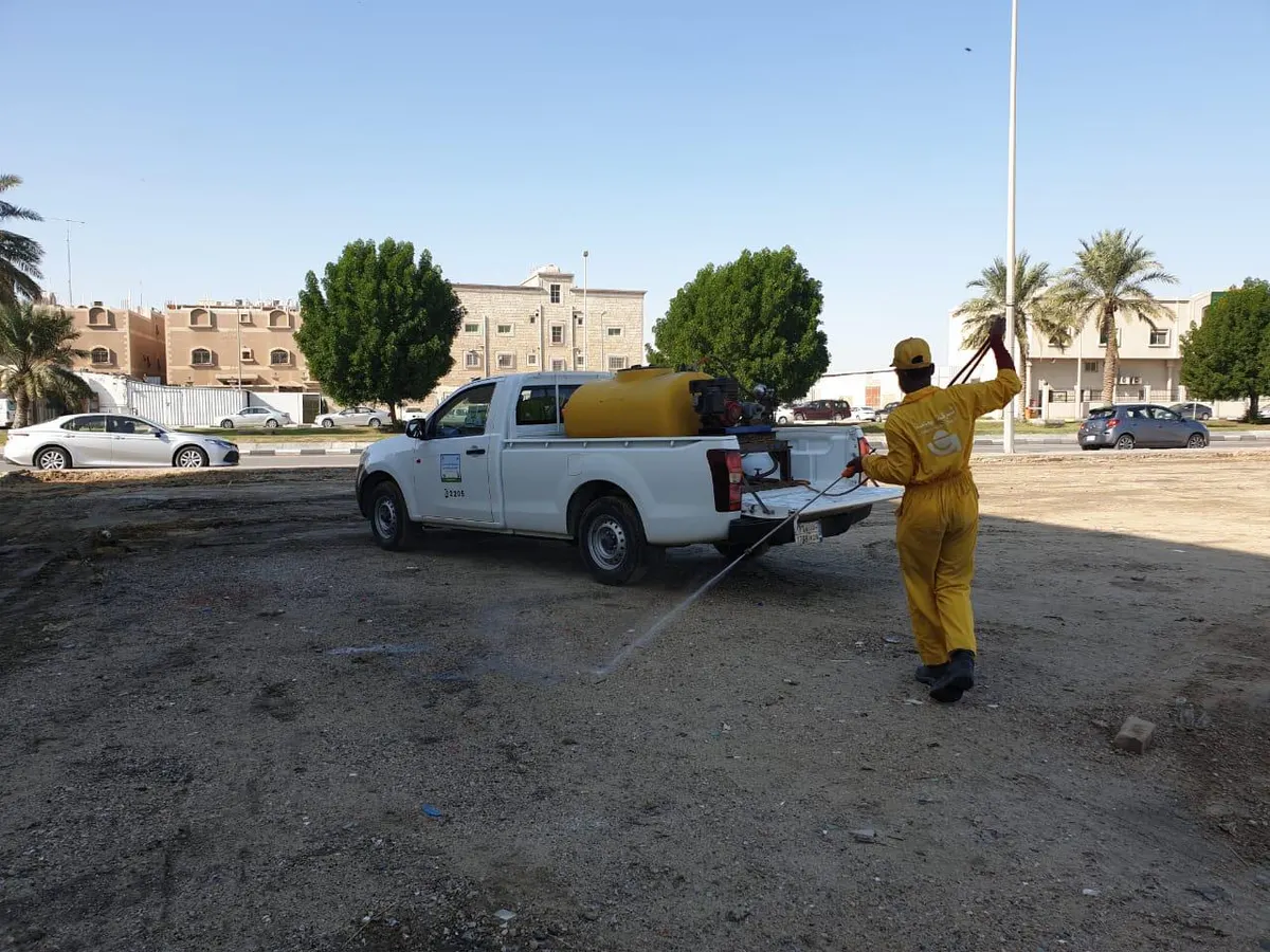 تجنبًا لانتقال الأمراض.. إيقاف سوق الطيور بالقطيف والبحث عن موقع بديل