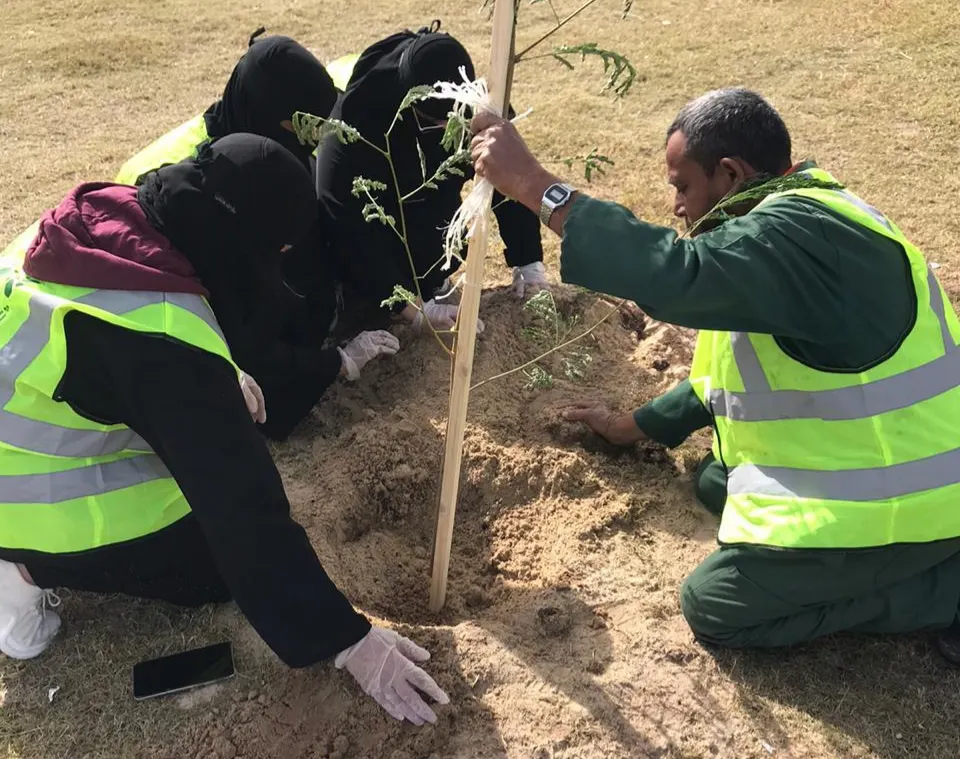 في القطيف.. فتيات يكسين الواجهة البحرية خضرة بـ120 نبتة