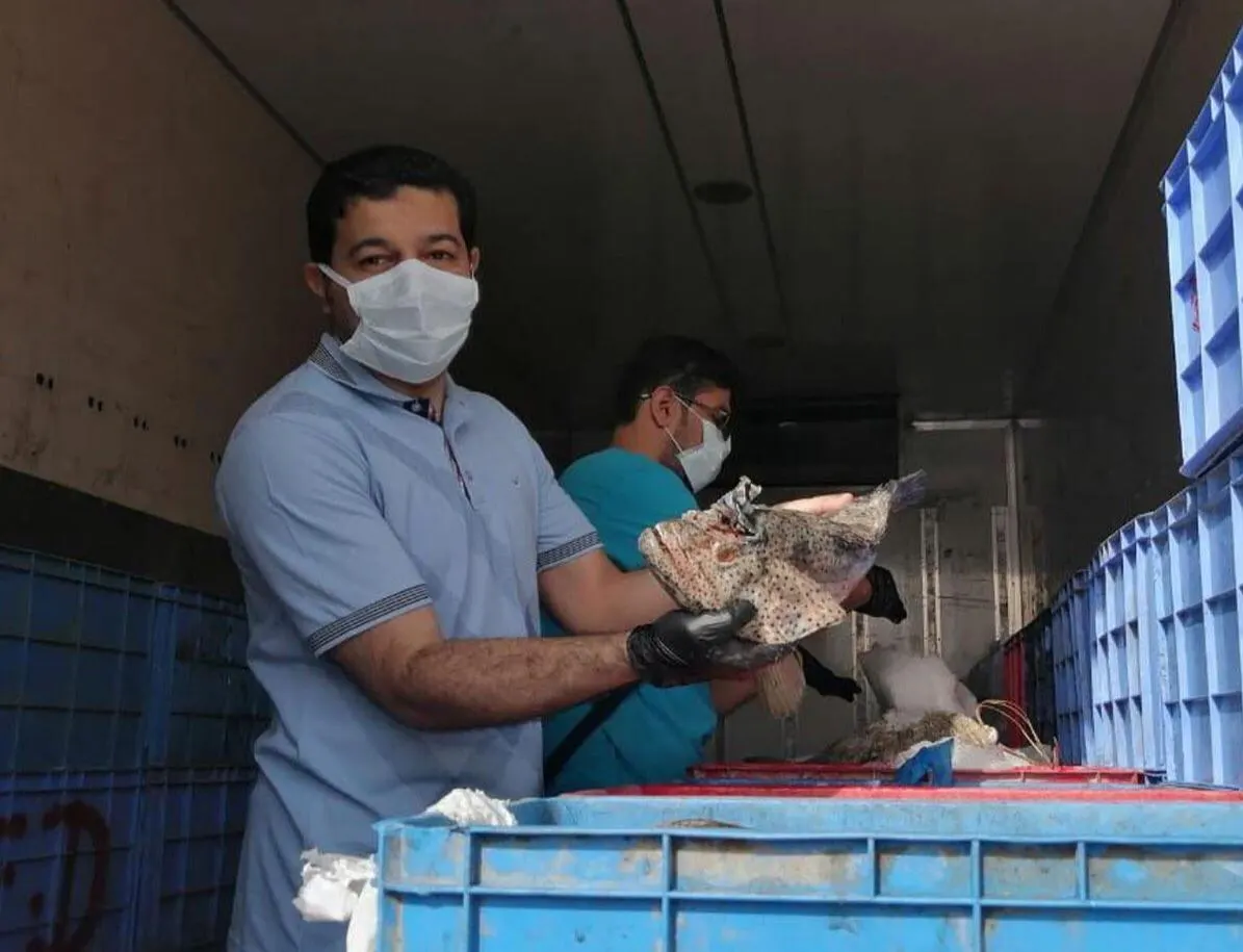 في القطيف.. ضبط 4100 كجم أسماكًا غير صالحة للاستهلاك.. والبلدية تعدل حركة السير حول السوق
