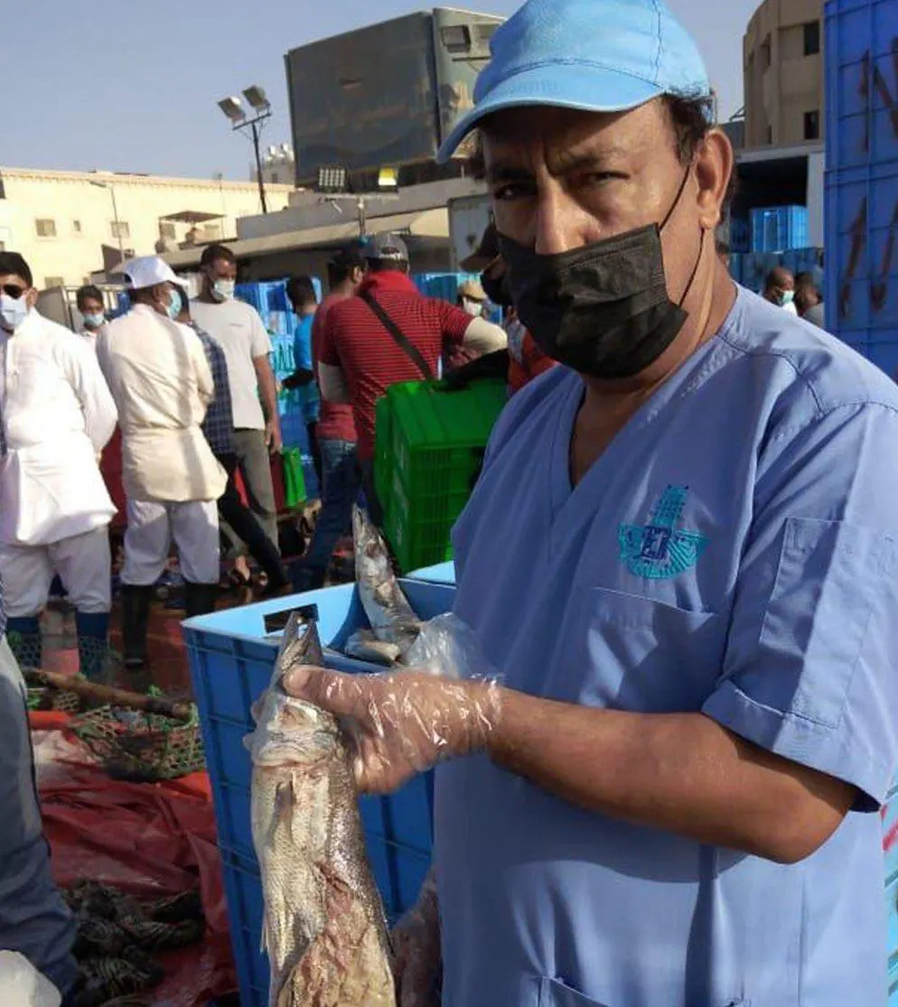 في سوق القطيف.. ضبط 1700 كجم أسماكاً فاسدة معروضة للبيع على المواطنين
