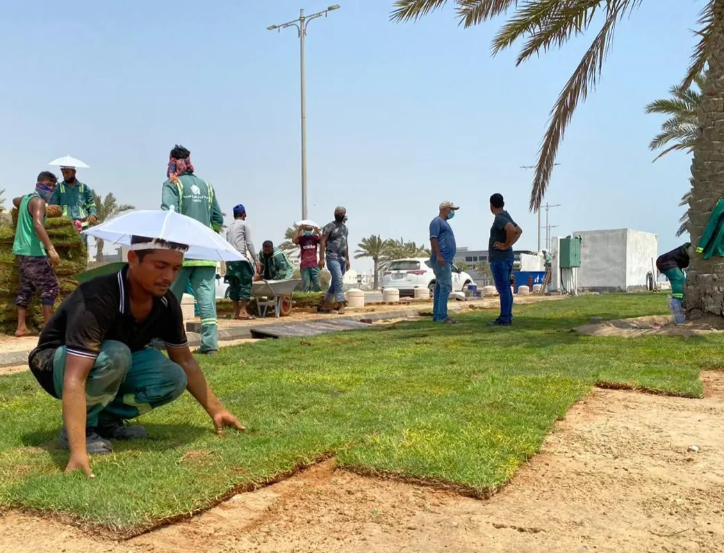 لرفع مستوى التجميل واستعدادًا لاستقبال متنزهي الأضحى.. بلدية القطيف تزرع 20 ألف م² بالمحافظة
