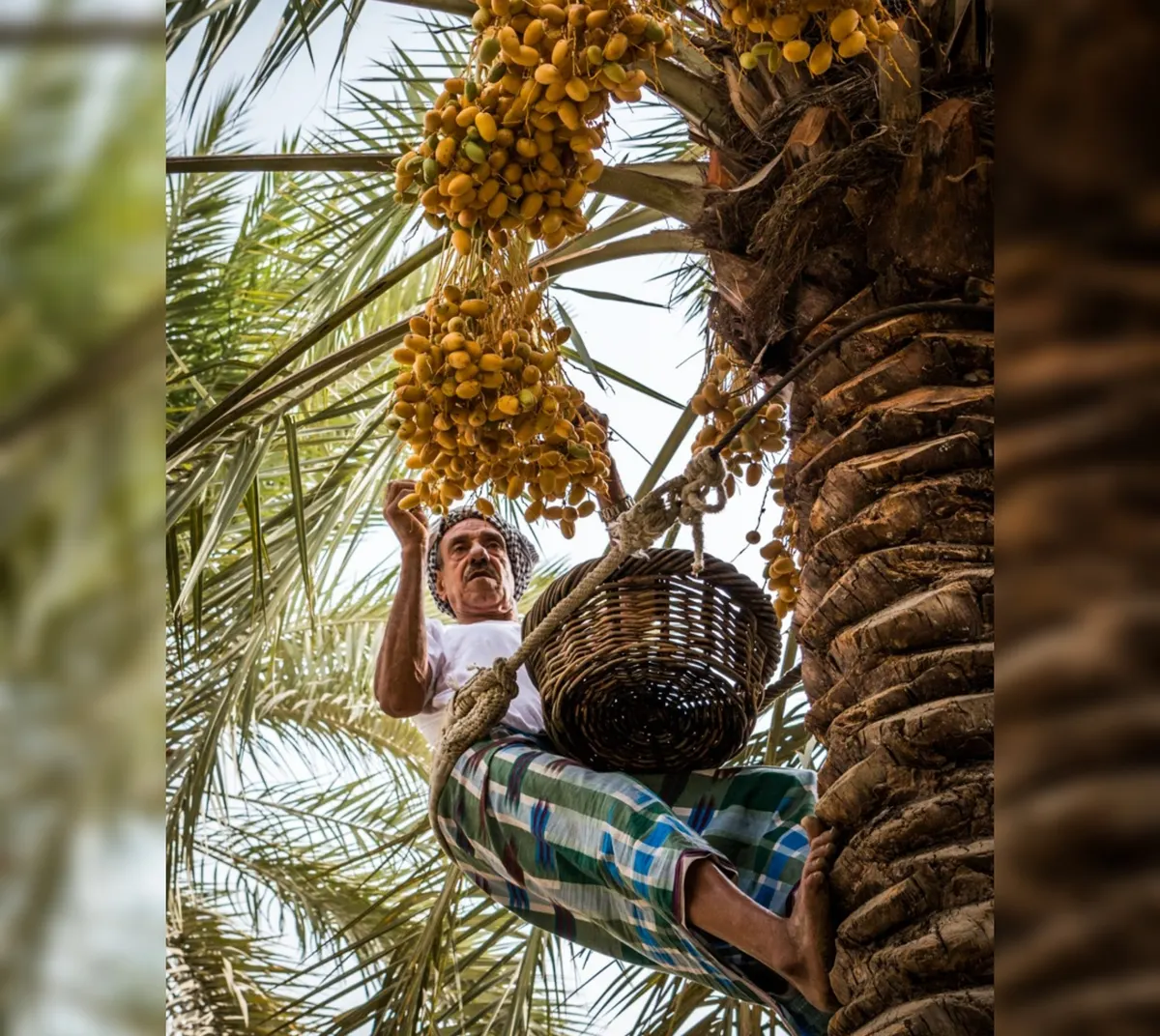 آل قريش والفاضل والفرج يحرزون المراكز الأولى في «وميض»