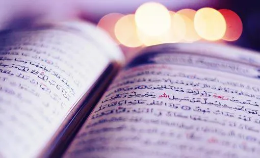 في ضيافة مجلس البتول.. مهتمة بعلوم القرآن تبين كيف يكون التدبر أسلوب حياة