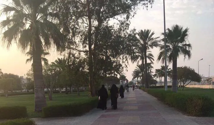 في صفوى.. مشي رقمي لـ «حياة أفضل.. حياة بلا سرطان»
