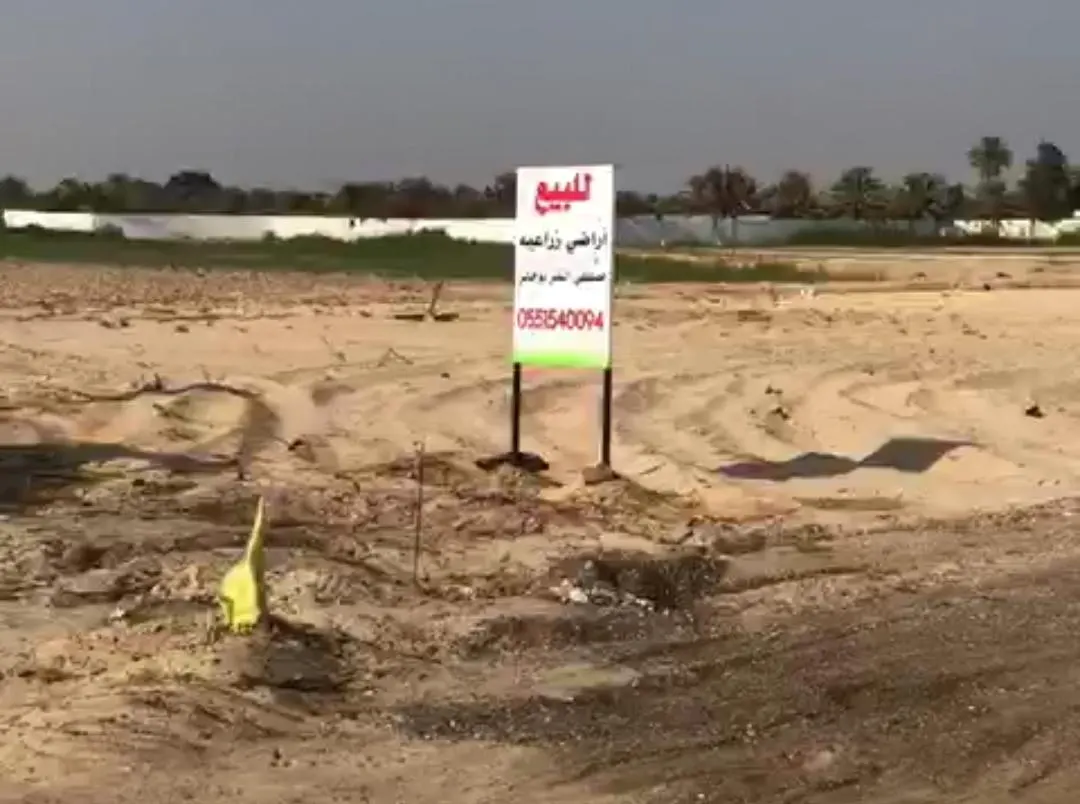 للبيع أراضٍ زراعية في الجش صك إلكتروني جديد.. إفراغ فوري