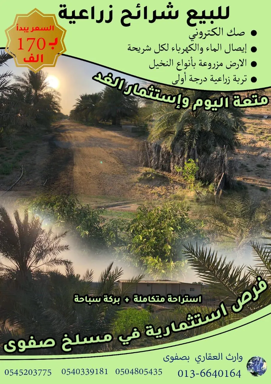 فرصة ذهبية.. شرائح زراعية للبيع بمكتب وارث العقاري.. متعة اليوم واستثمار الغد