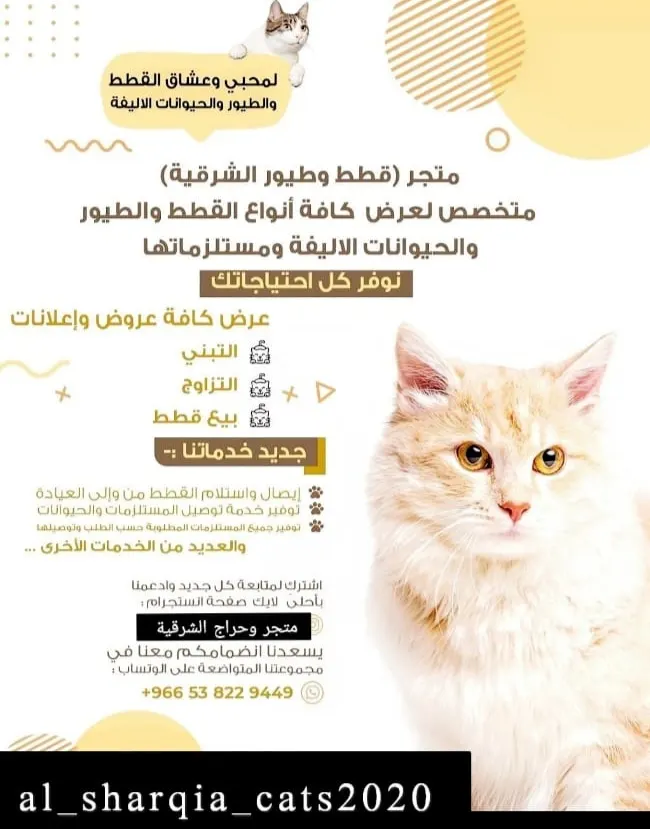 لمحبي وعشاق الحيوانات الأليفة.. متجر حراج قطط وطيور الشرقية