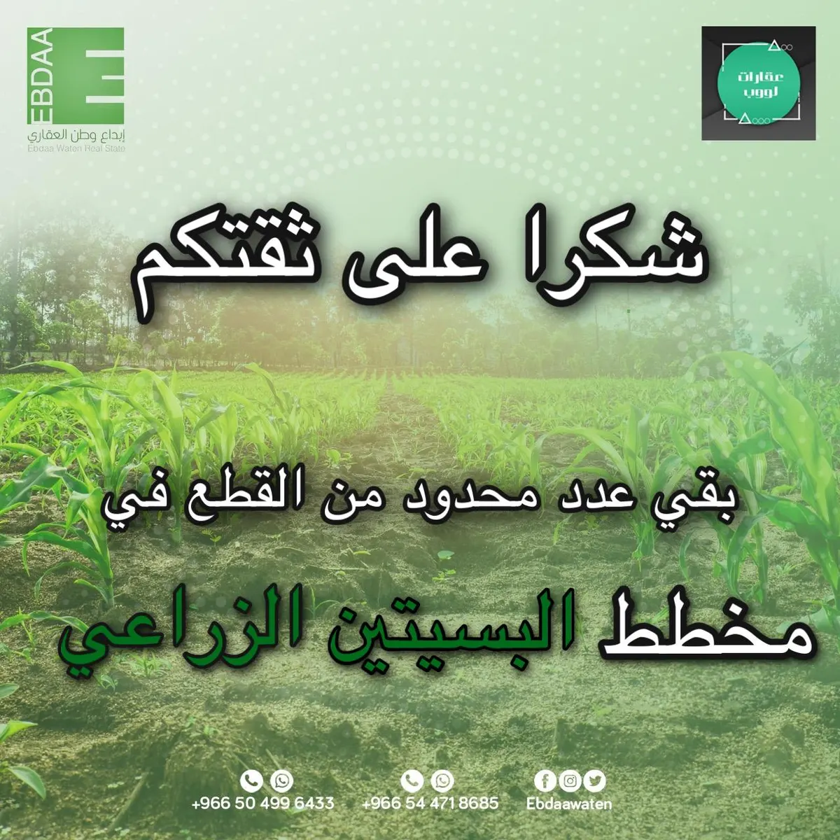 باقٍ عدد محدد من القطع في مخطط البسيتين الزراعي.. لا تنتظر فالفرص لا تعوّض