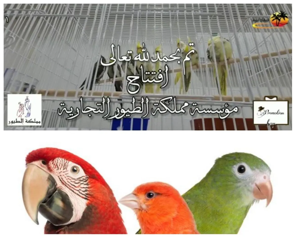 افتتاح مؤسسة مملكة الطيور بالقطيف
